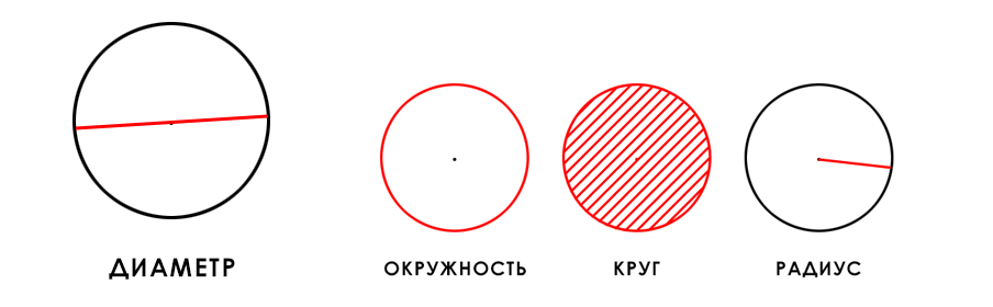 Диаметр круга, а также окружность, круг, радиус