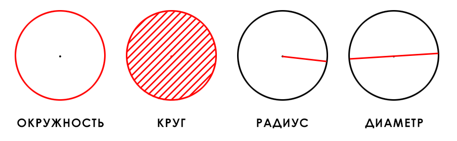 Окружность, круг, радиус, диаметр