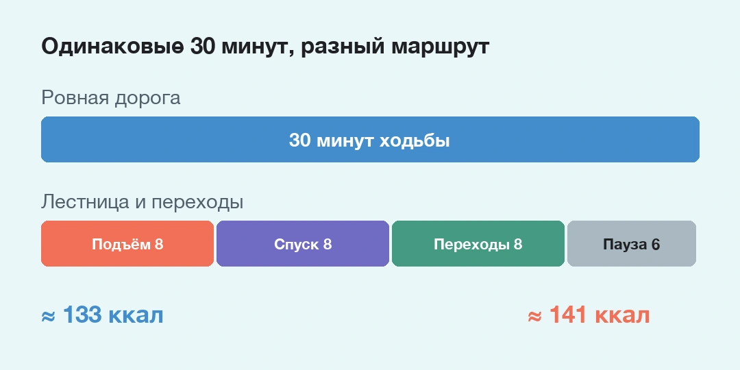 Ровная получасовая прогулка и маршрут с подъемом, спуском и паузой разделены на временные отрезки