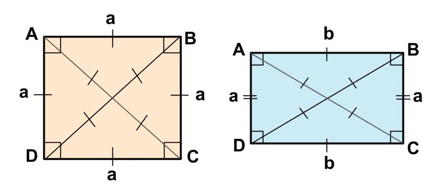 Калькулятор площади прямоугольника